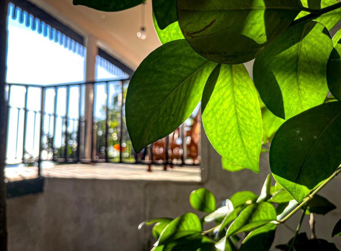 Nature Green Hotels On Rock Home אלה מראה חיצוני תמונה