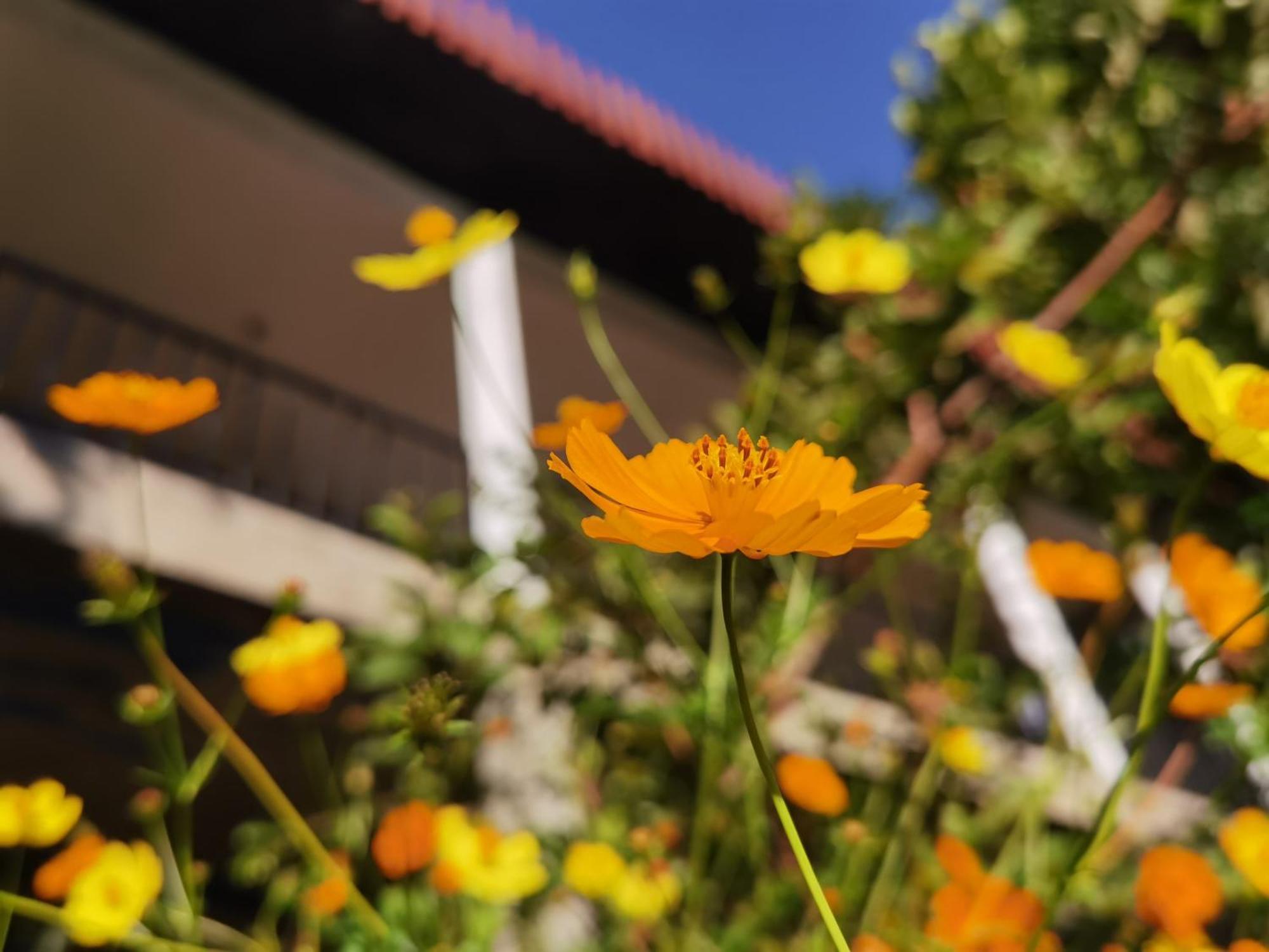 Nature Green Hotels On Rock Home אלה מראה חיצוני תמונה