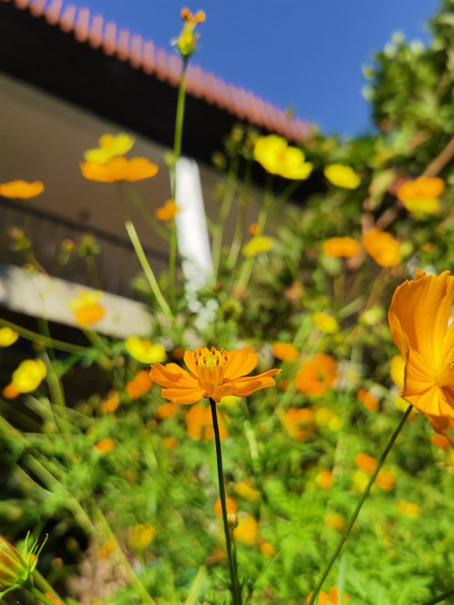 Nature Green Hotels On Rock Home אלה מראה חיצוני תמונה